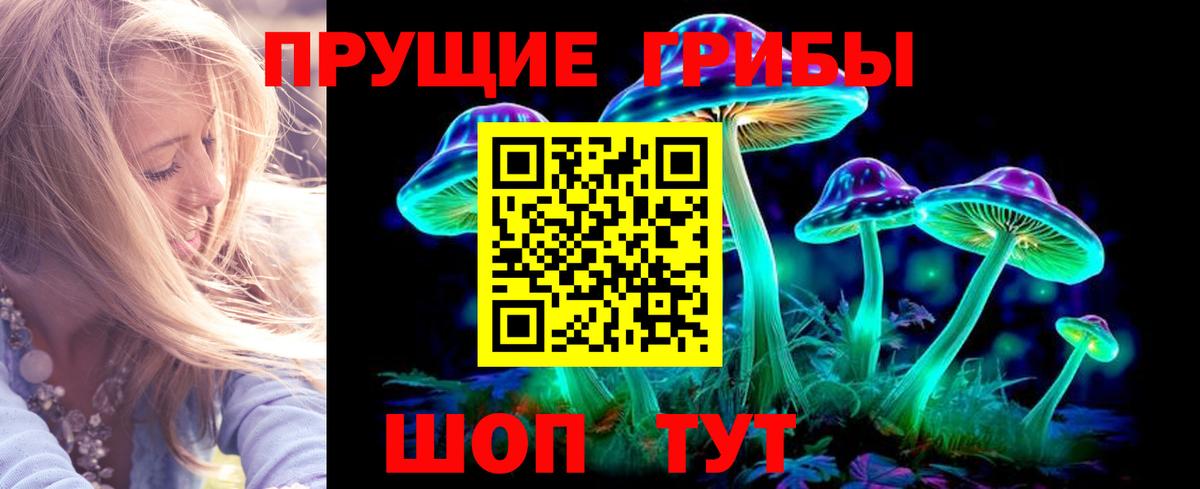 Балабаново  Псилоцибиновые грибы прущие грибы  Вход с VPN 